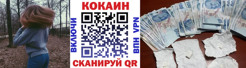 Cocaine Fish Scale  Купить закладки  Сорск 