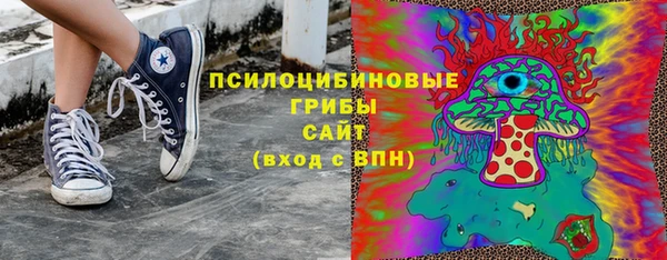 прущая мука Алзамай