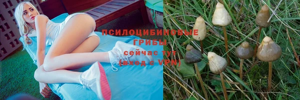 jwh Алексин