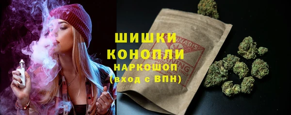 таблы Богородицк